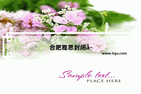 合肥雅思封闭学校有哪些