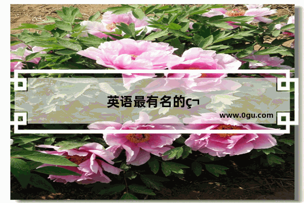 英语最有名的笑话