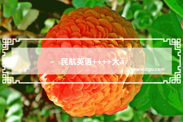 民航英语++++大全