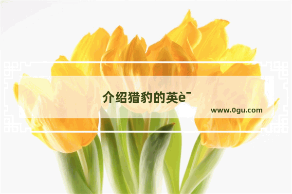 介绍猎豹的英语作文