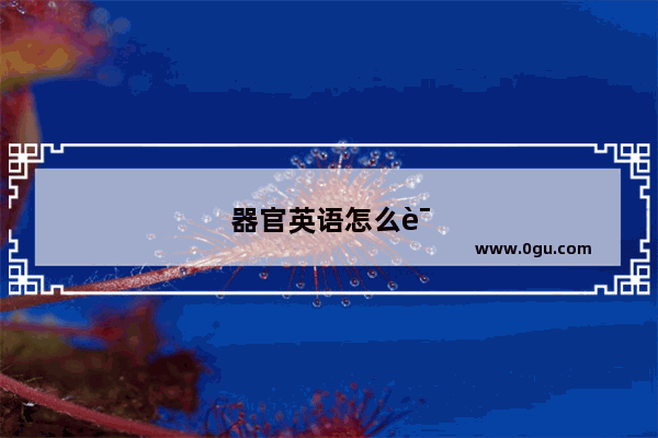 器官英语怎么说