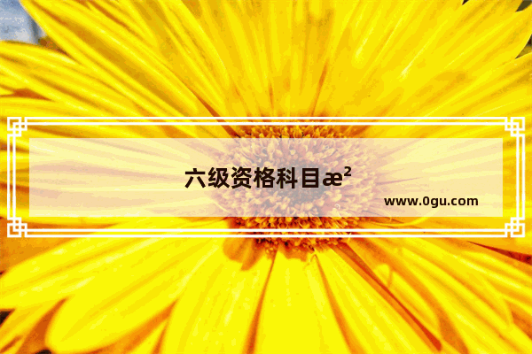 六级资格科目没写英语六级能过吗