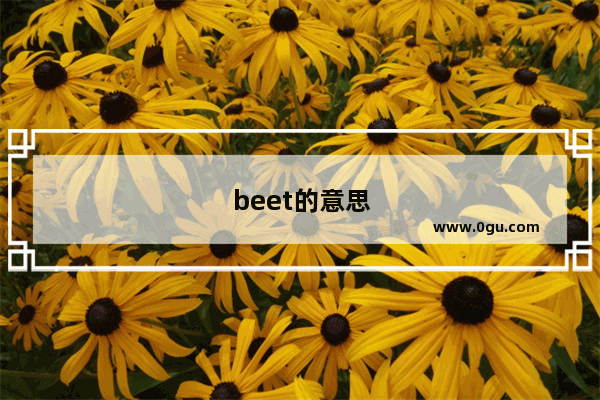 beet的意思