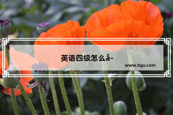 英语四级怎么学有效率