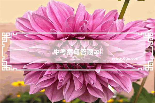 中考病句答题技巧