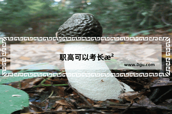 职高可以考长沙航空职业学院吗