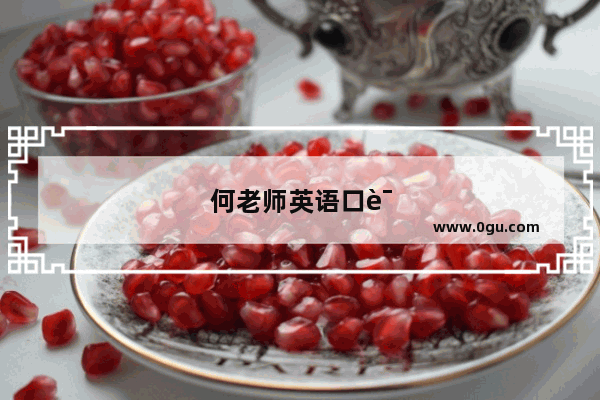 何老师英语口语第二讲视频
