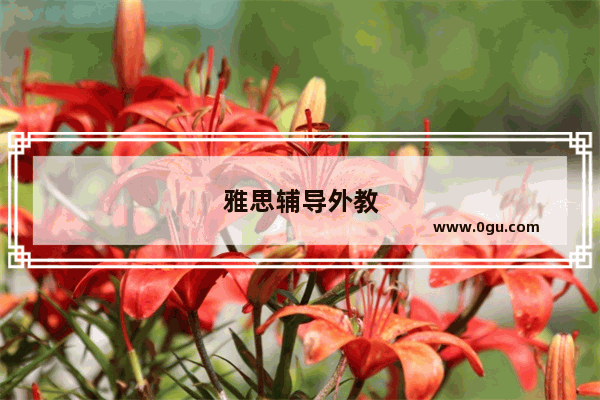 雅思辅导外教