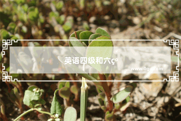 英语四级和六级哪个学历高