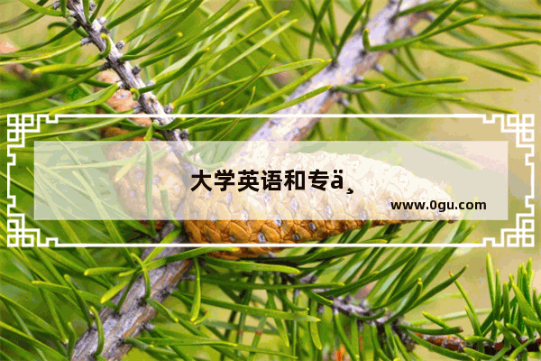 大学英语和专业英语有可比性吗?大学英语6级相当专业英语几级呀