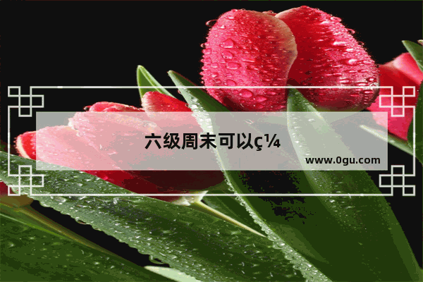 六级周末可以缴费吗