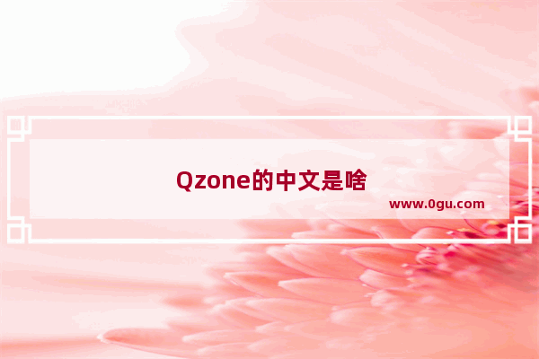 Qzone的中文是啥意思