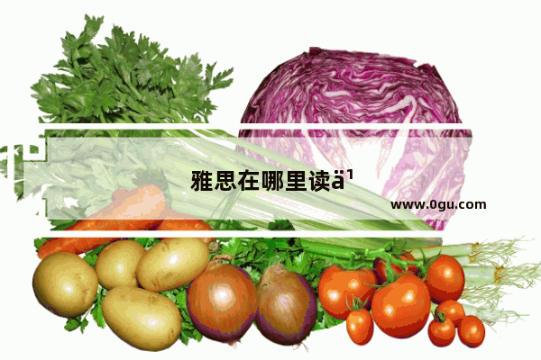 雅思在哪里读书比较好