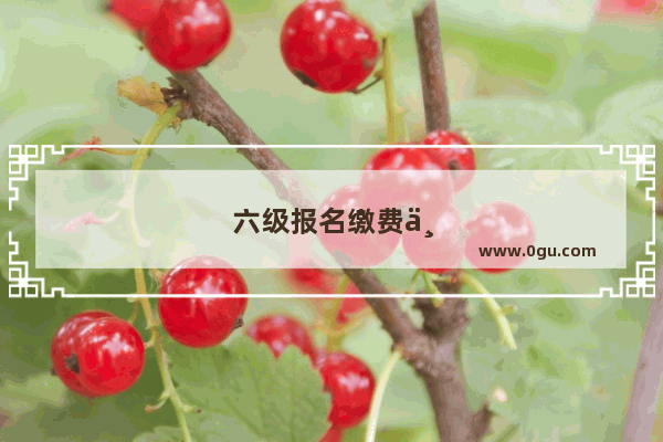 六级报名缴费不能在周六日吗