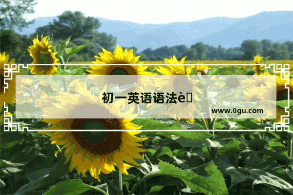 初一英语语法自己在家怎样学