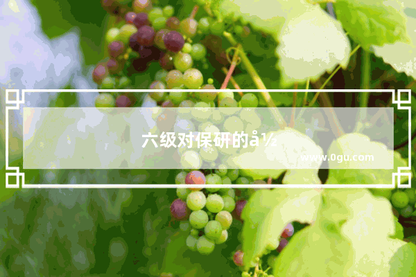 六级对保研的影响有多大