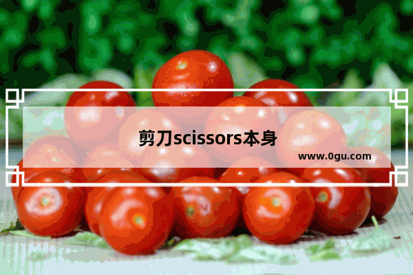 剪刀scissors本身是单数还是复数