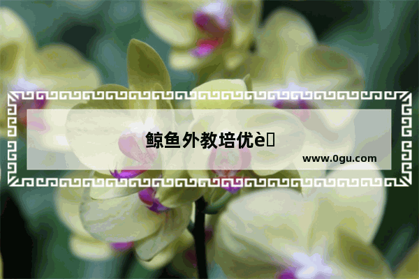 鲸鱼外教培优英语适合3岁的孩子吗?会不会太小