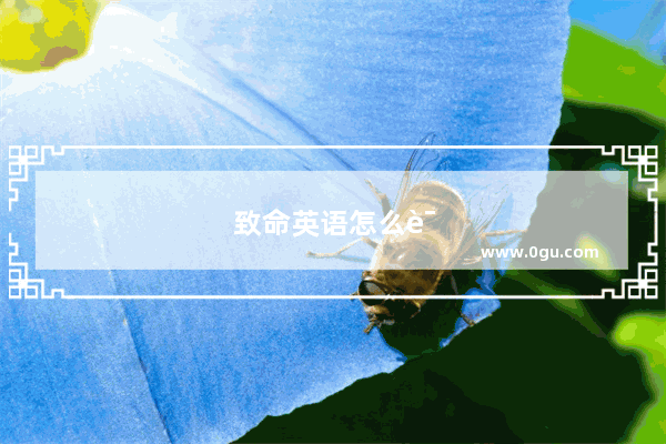致命英语怎么说呢