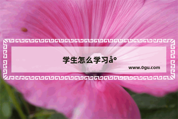 学生怎么学习小学英语