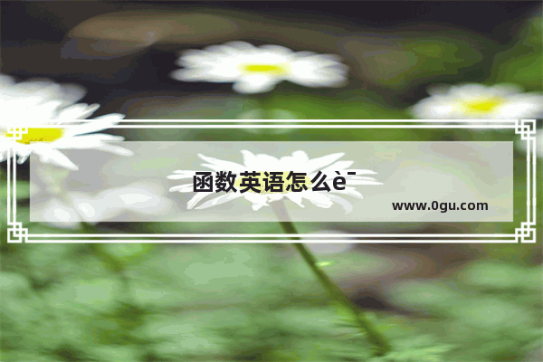 函数英语怎么说?