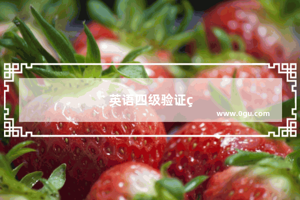英语四级验证码没有显示怎么办
