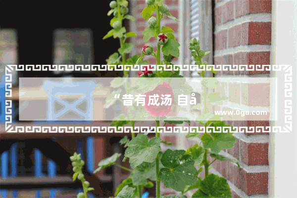 “昔有成汤 自彼氐羌 莫敢不来享 莫敢不来王。” 是诗经哪一篇？怎么翻译