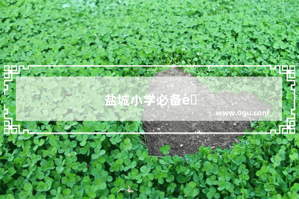 盐城小学必备英语教辅书