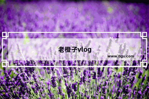 老橙子vlog