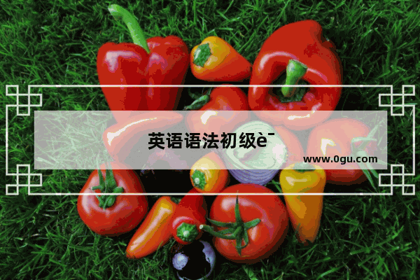 英语语法初级词典
