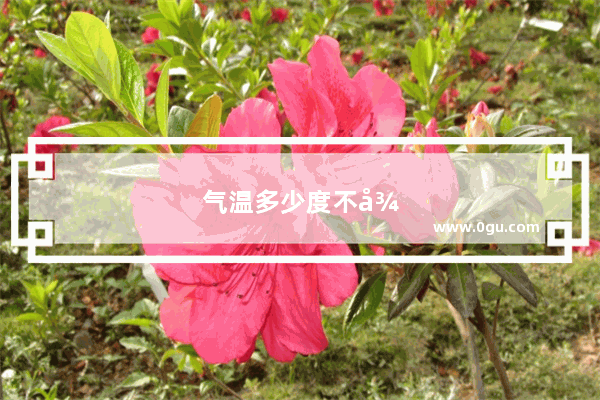 气温多少度不得组织油基压裂