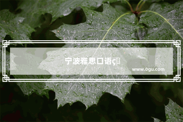 宁波雅思口语班有哪些