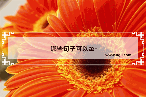 哪些句子可以正反读