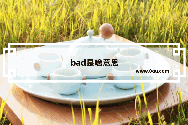 bad是啥意思