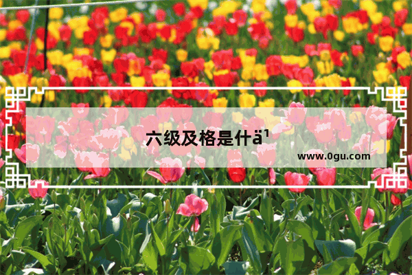 六级及格是什么意思