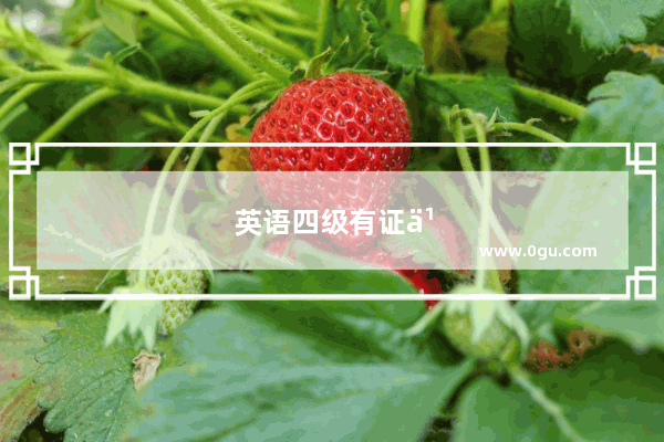 英语四级有证书吗