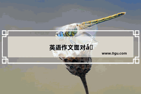 英语作文面对困难的经历