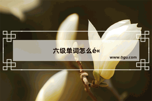 六级单词怎么高效记忆