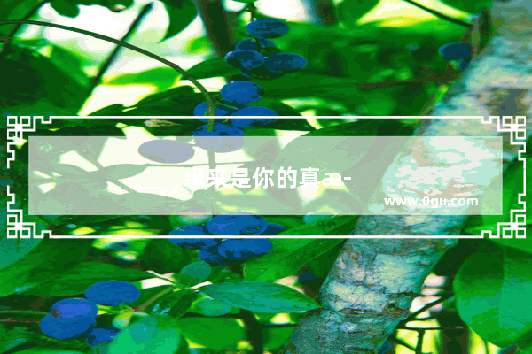 缘来是你的真正含义