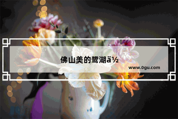 佛山美的鹭湖作文