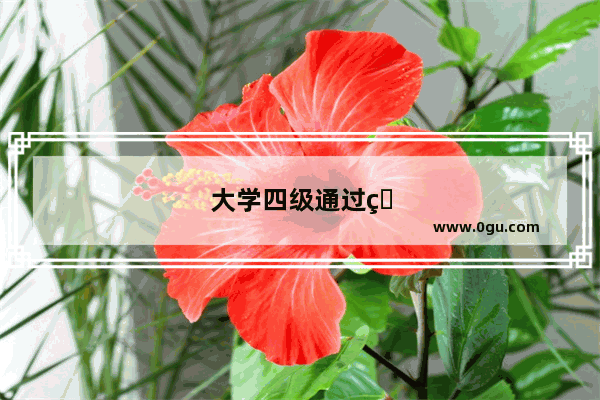 大学四级通过率是多少