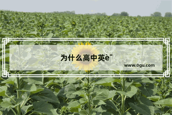 为什么高中英语阅读看不懂