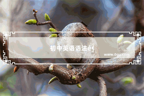 初中英语语法题的书哪种最好
