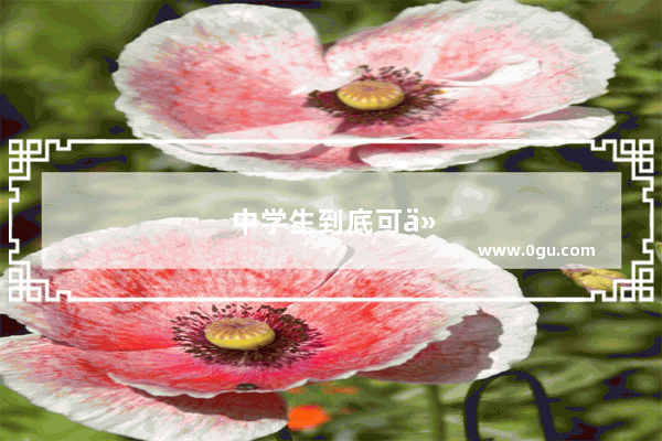 中学生到底可以考英语四级吗