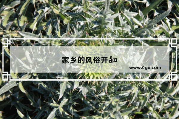 家乡的风俗开头摘抄5句