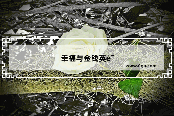幸福与金钱英语作文