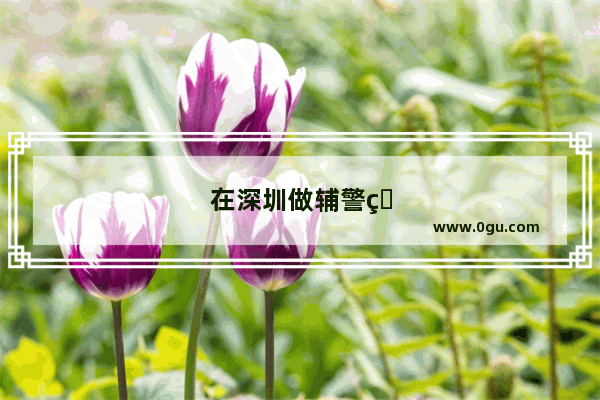 在深圳做辅警的前途如何？工资待遇如何