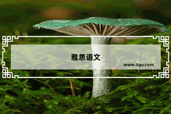 雅思语文