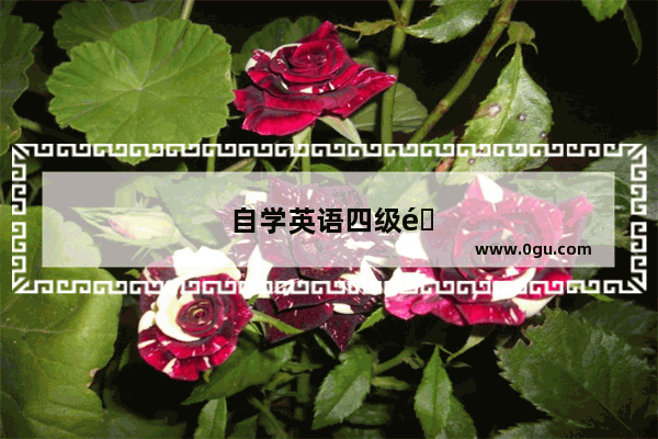 自学英语四级需要几年时间考完