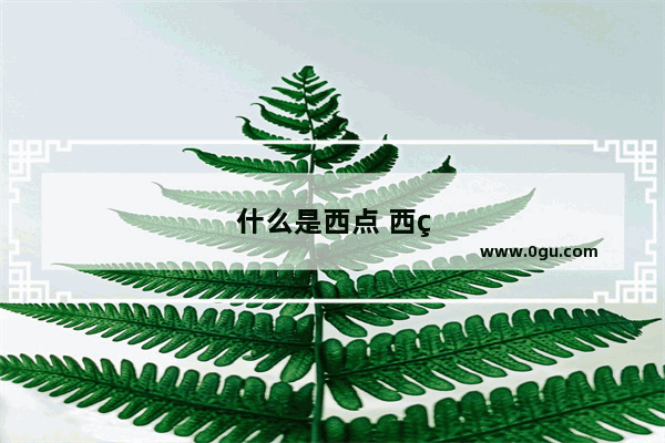 什么是西点 西点定义